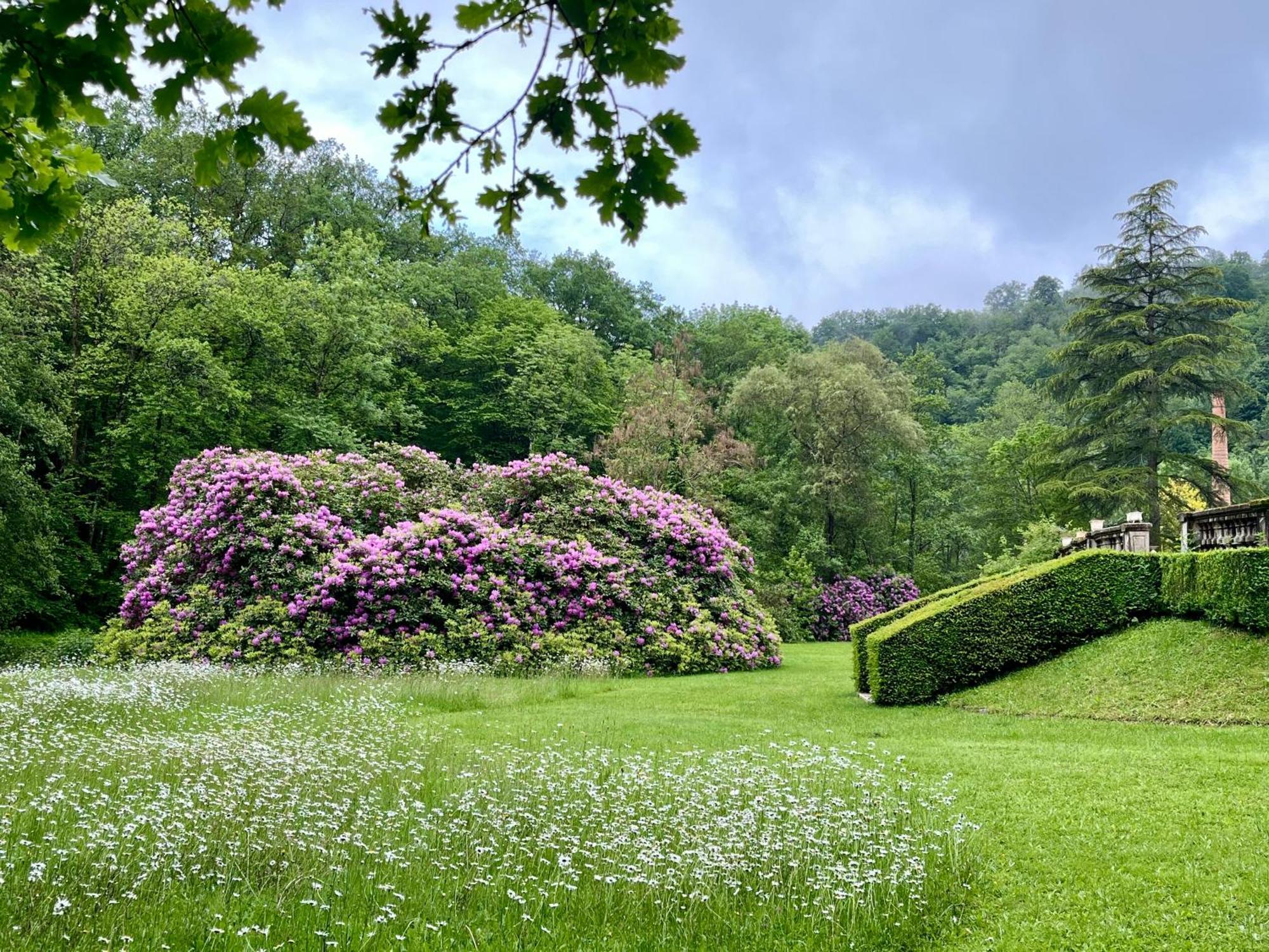 Bed and Breakfast Domaine De La Brugere Nantheuil Экстерьер фото