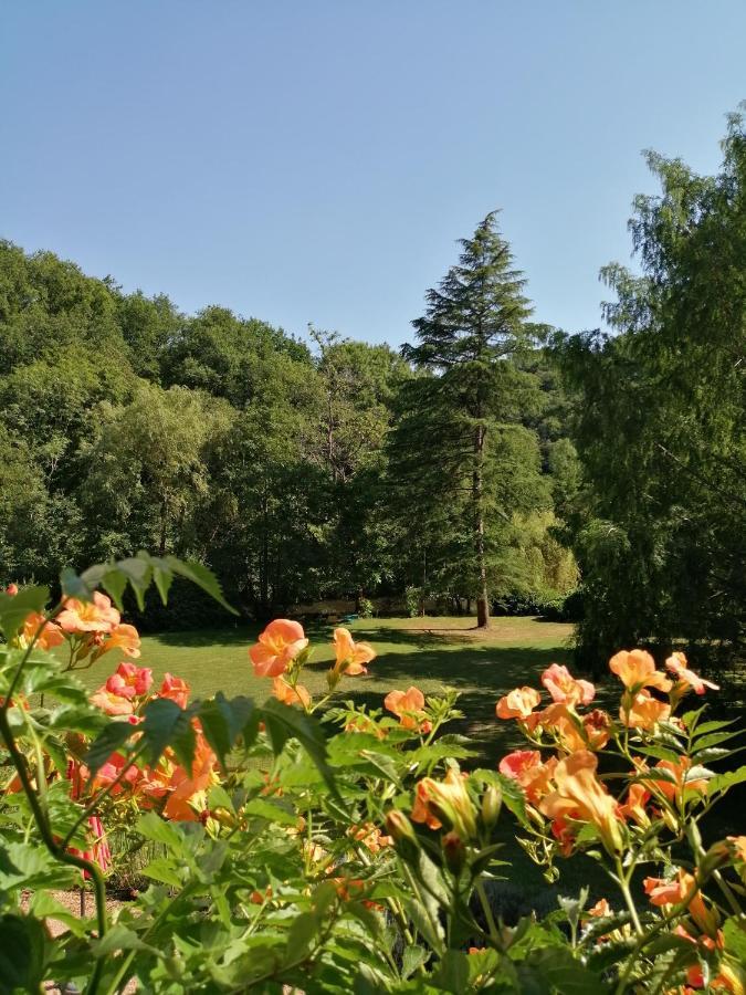 Bed and Breakfast Domaine De La Brugere Nantheuil Экстерьер фото